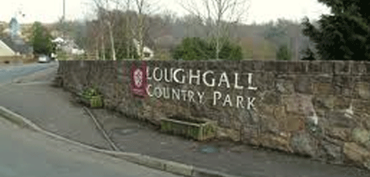 Loughgall-Country-Park-Photo